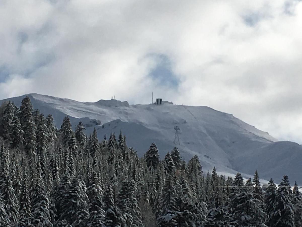 Le Lioran Studio Les Myrtilles A 200M Des Pistes Buitenkant foto