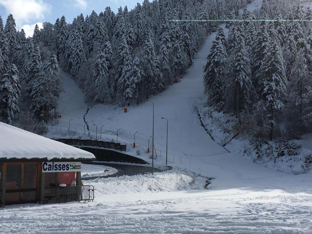 Le Lioran Studio Les Myrtilles A 200M Des Pistes Buitenkant foto