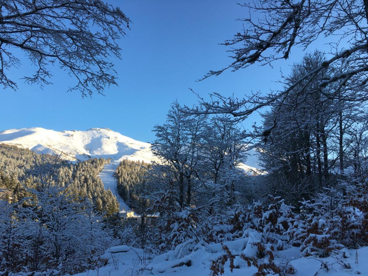 Le Lioran Studio Les Myrtilles A 200M Des Pistes Buitenkant foto