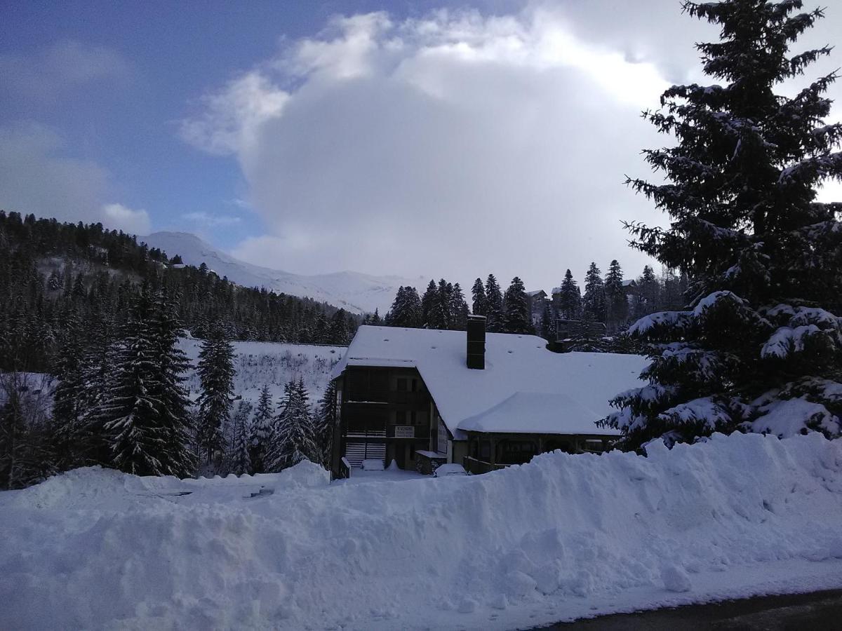 Le Lioran Studio Les Myrtilles A 200M Des Pistes Buitenkant foto