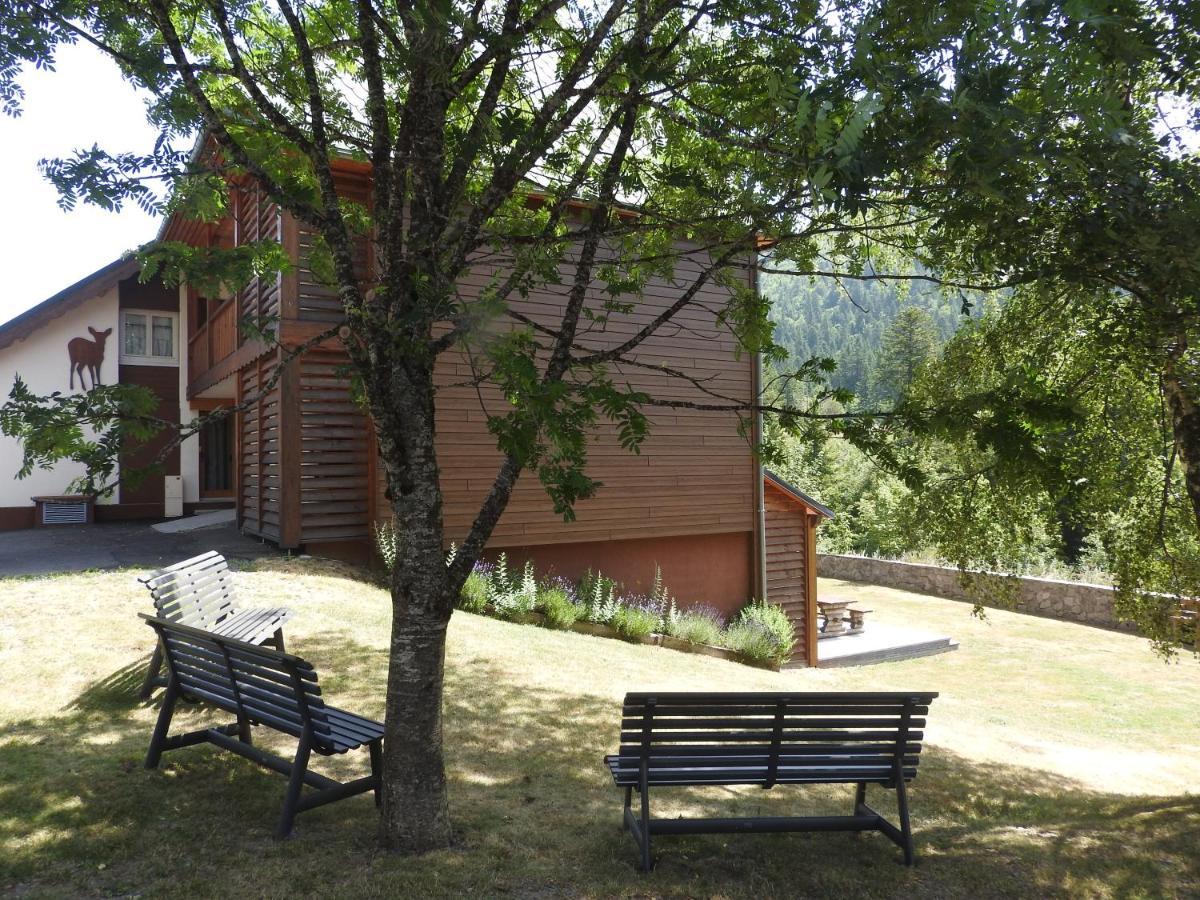 Le Lioran Studio Les Myrtilles A 200M Des Pistes Buitenkant foto